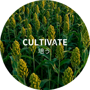CULTIVATE(培う)
